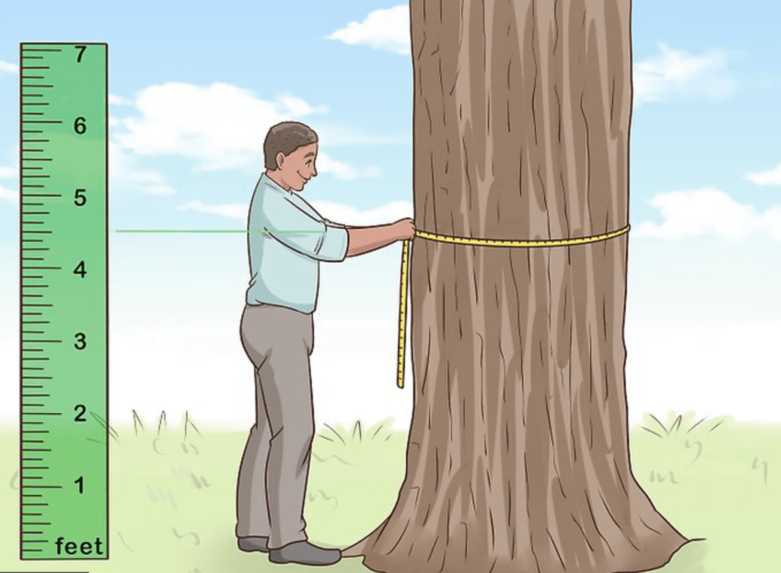 Screen Shot 2018-12-06 at 10.21.23 PM.png